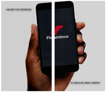 Caso de Éxito: Diseño y Desarrollo de App Mobile Ecommerce B2B